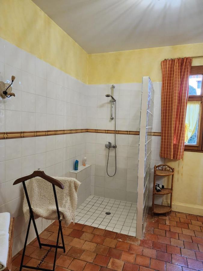 Manoir De La Maison Blanche Amboise Ngoại thất bức ảnh